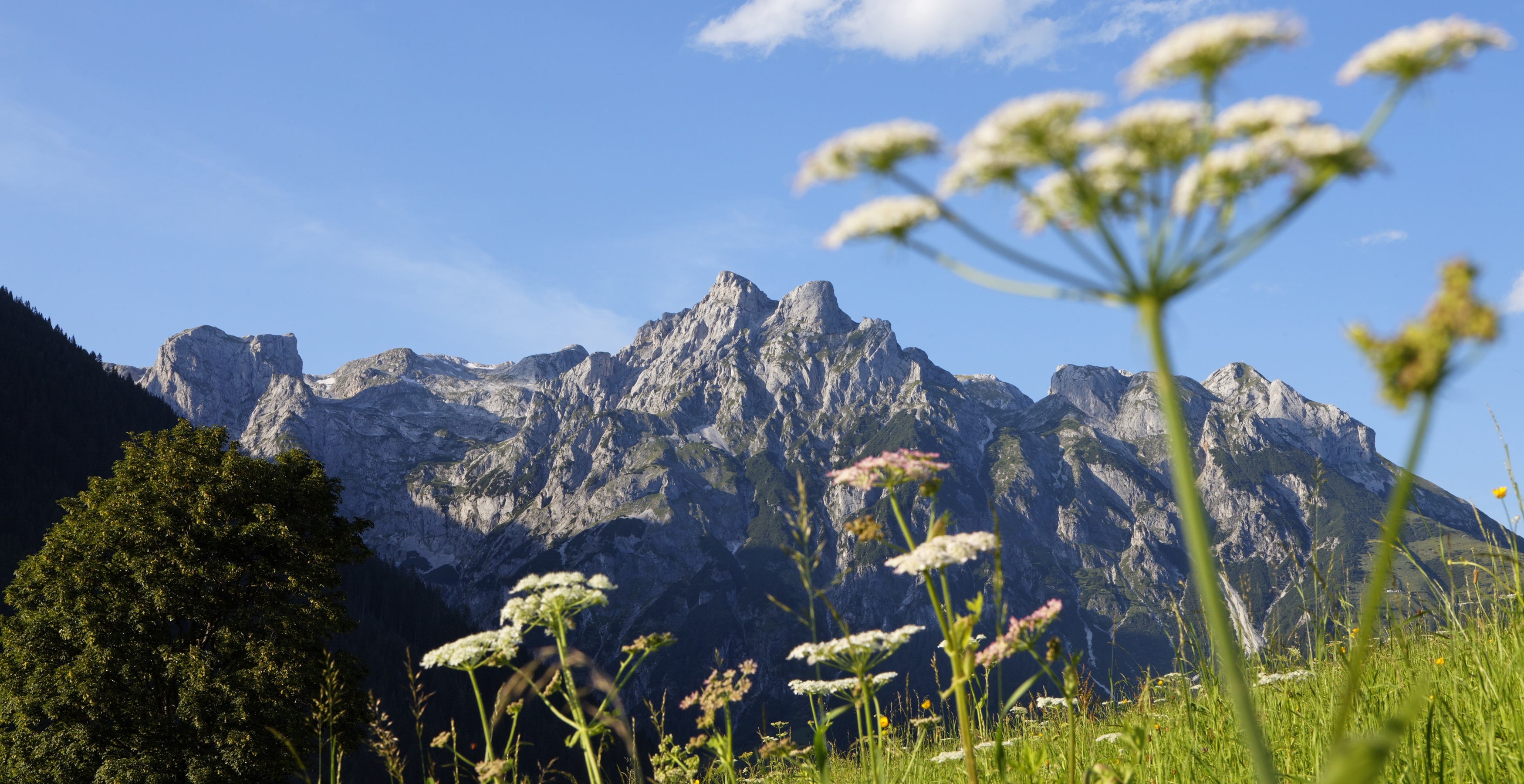 Wandern mit der Familie in Werfenweng Salzburger Land